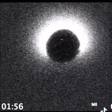 Conception begins with the light of Life.