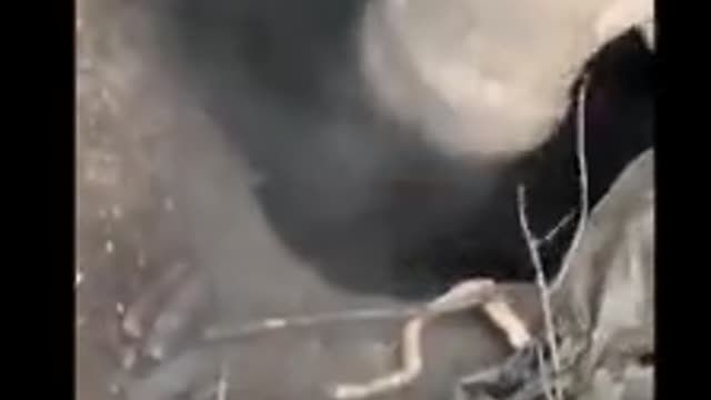 Ukrainian drones dropping grenades on Russian positions.