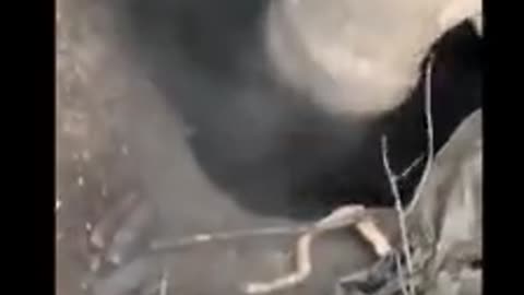 Ukrainian drones dropping grenades on Russian positions.