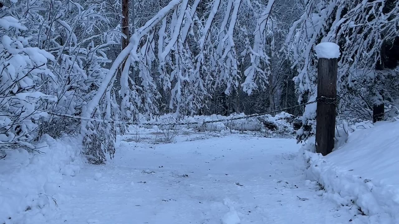 Four days of snow, Alaska