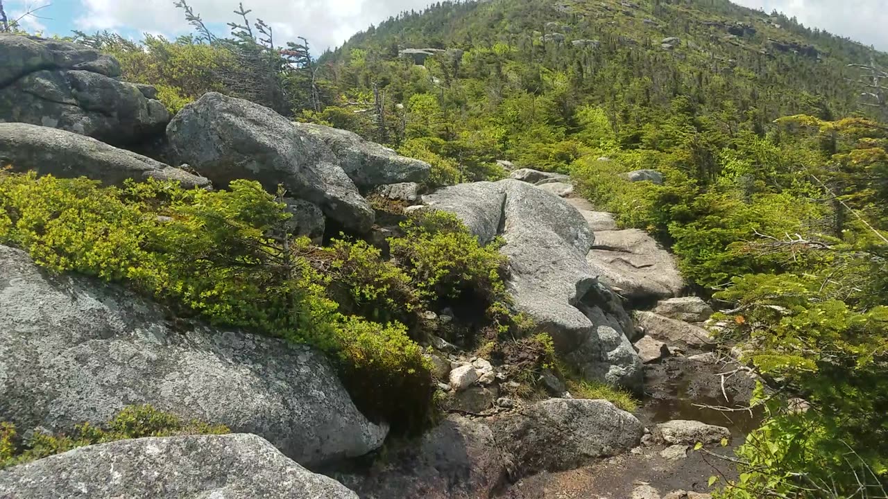 Mt. Whiteface and Mt. Esther Hike #1