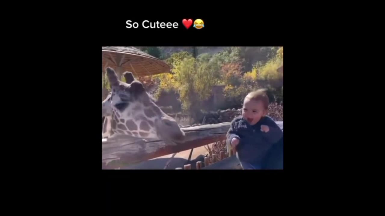 Fun clip