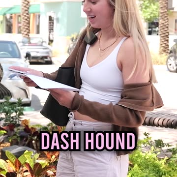 Asking Strangers if They Can Pronounce These Dog Breeds