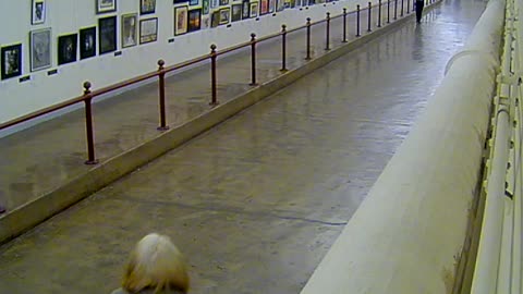 Camera0052USCHBACHOBTunneltoCHOB_2021-01-06_Starting_at_12h40min00s647ms.mp4