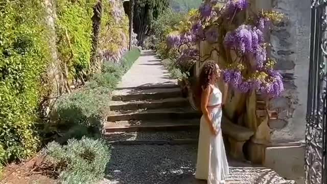 Accidentally strayed into fairyland