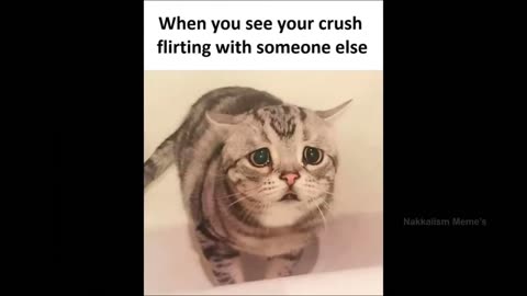 Meme load of luv 💞