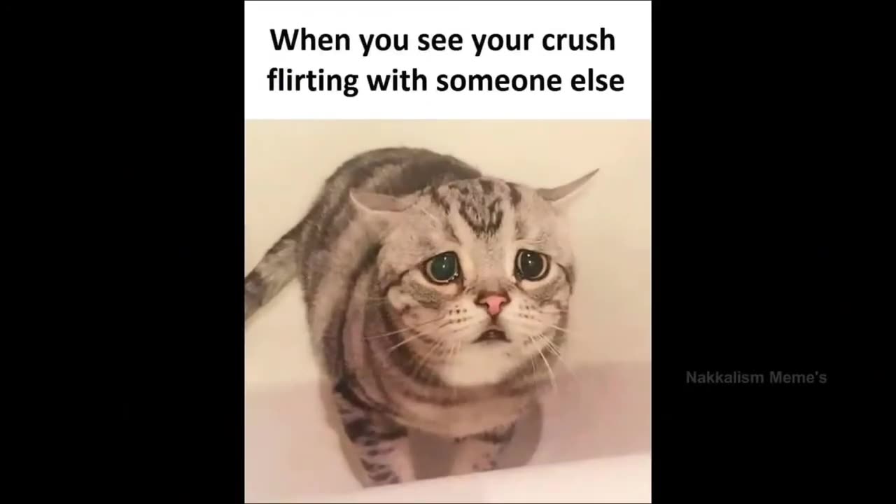 Meme load of luv 💞