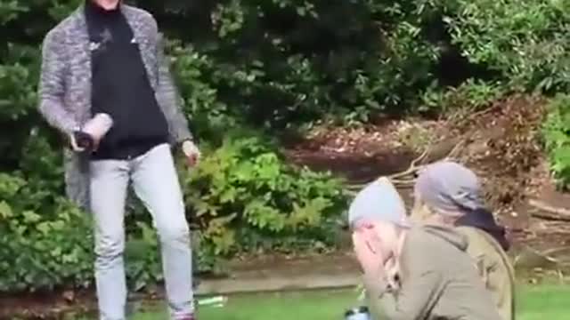 Shake it shake it