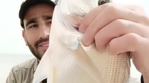 Catch the best types of fish