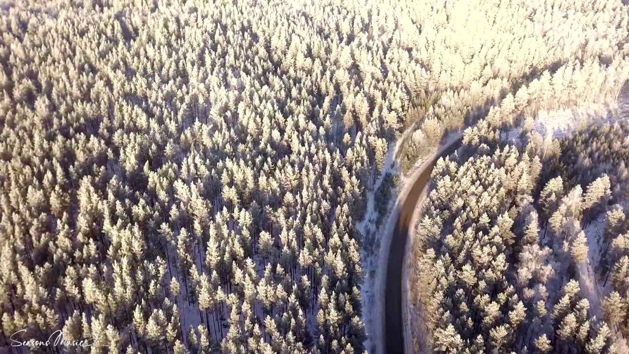 Beautiful melody to tears! RESTORATION OF THE NERVOUS SYSTEM! Snow was falling