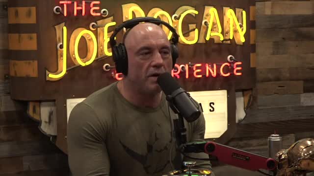 Joe Rogan and Matt Walsh disagree over gay marriage