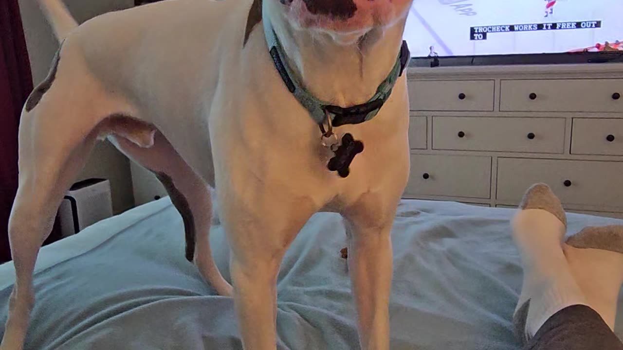 Vinny wants to play