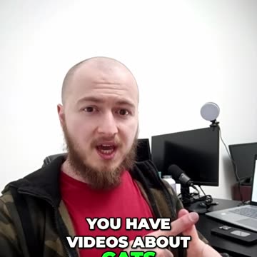 How to Build a Massive Online Following in the Cat Niche