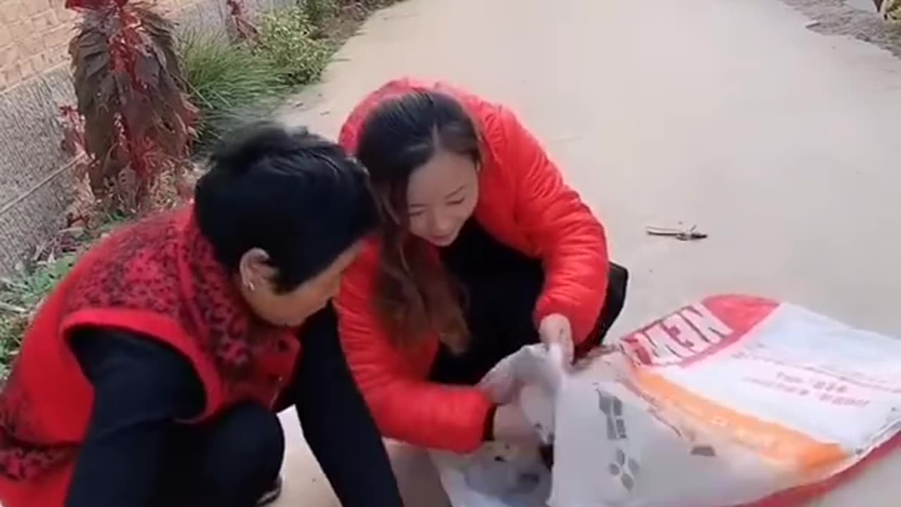 Best Funny Videos 2022, Chinese Funny clips daily #shorts