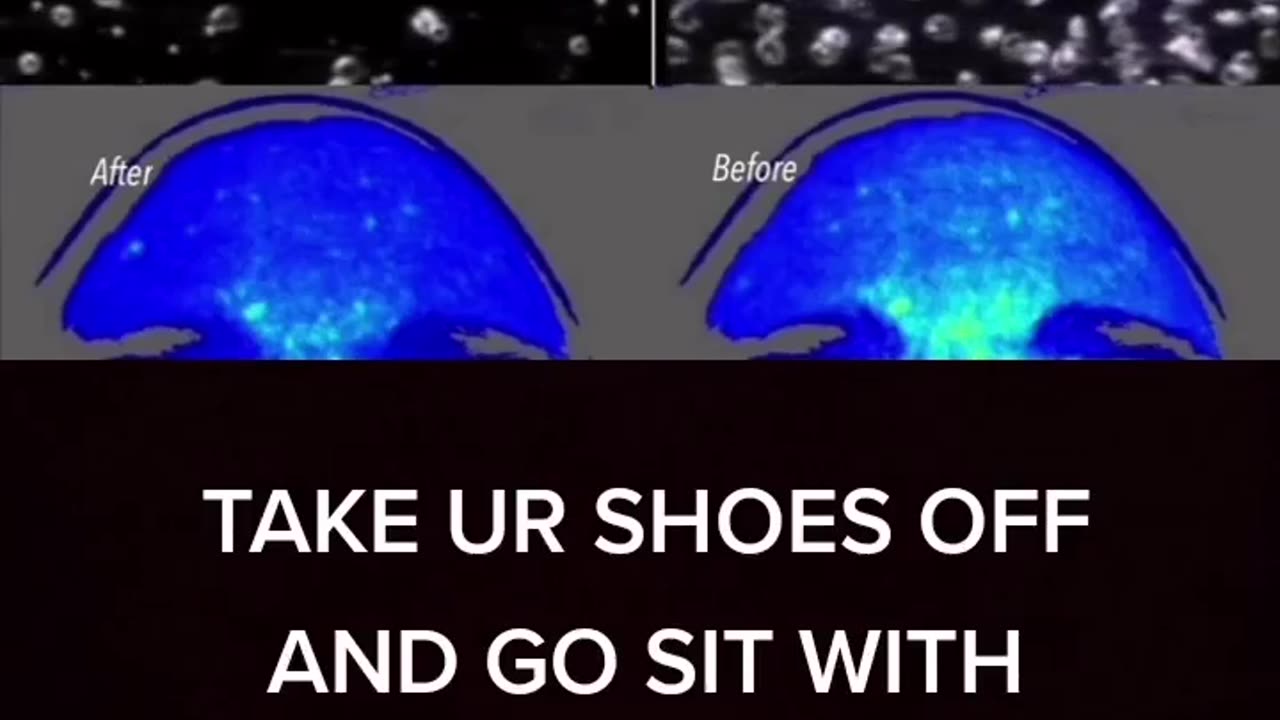 TAKE YOUR SHOES 👞 👟 OFF AND GO WALK IN NATURE 🏖🏞🏜