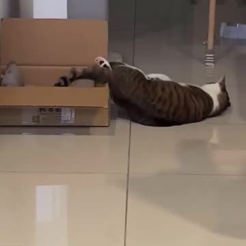 Monday morning crawling out of bed going to work