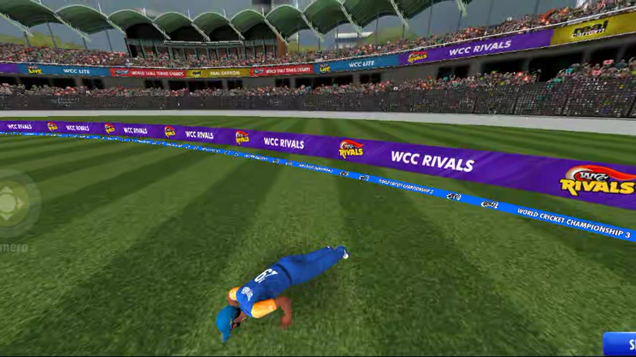 Cricket gameplay