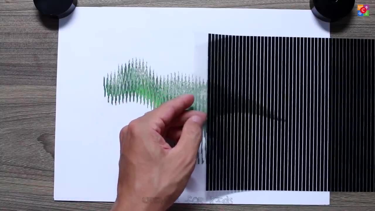 OPTICAL ILLUSIONS