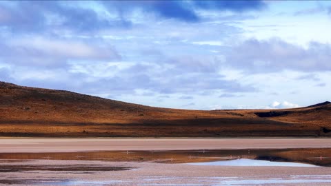 La áspera belleza patagónica de Pali Aike