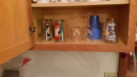 Crazy Roommate Cup Prank
