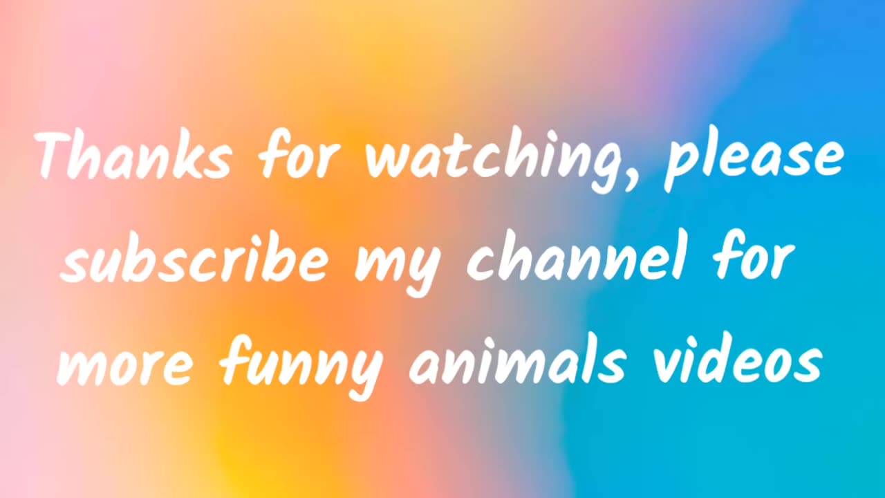 Funny animals video #shorts#funnyfail #animal