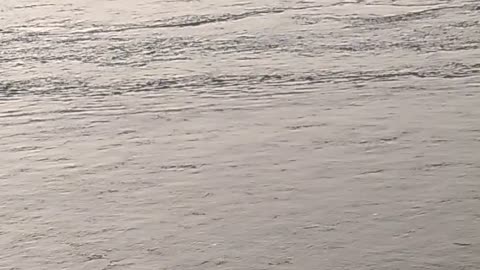 Koshi bairage new year day 2024