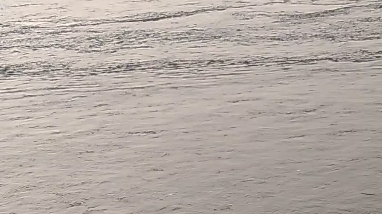 Koshi bairage new year day 2024