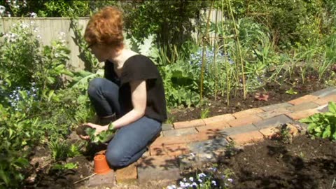 The Edible Garden 04