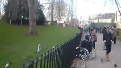 LONDON