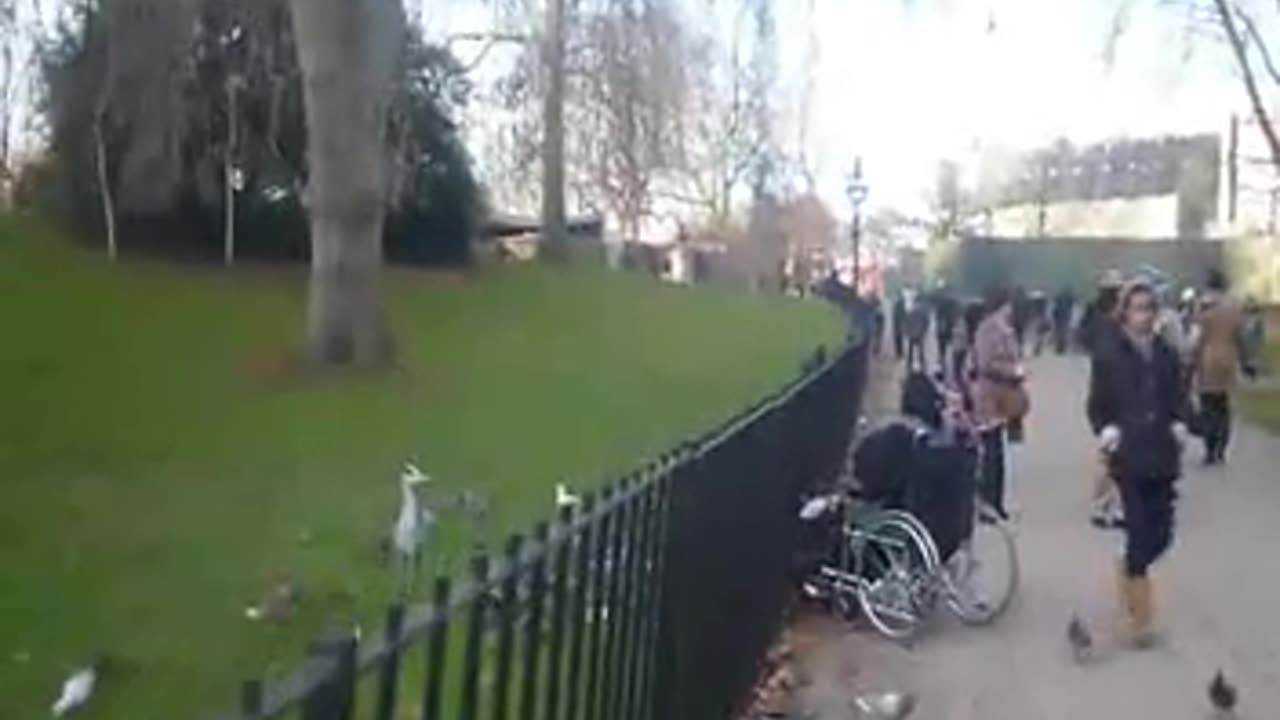 LONDON