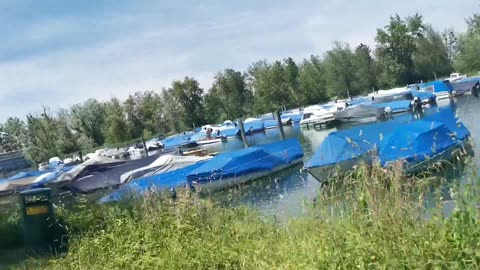 The Reality of Me - The Elephant in the Room (Part 26 of 33)