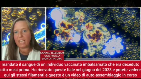 Dr.ssa Ana Maria Mihalcea: Le nanotecnologie autoassemblanti nei vaccini Covid e pediatrici