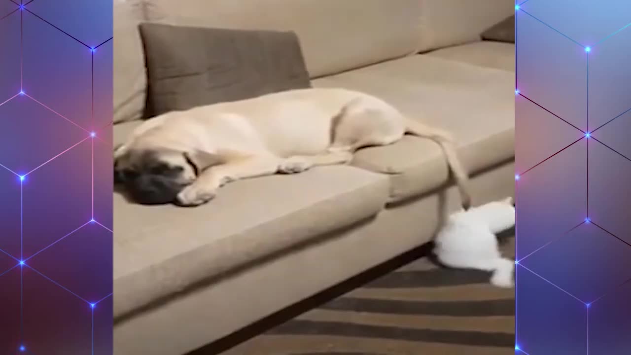 The End 🤣🤣🤣 | Funny Video | Try Not To Laugh