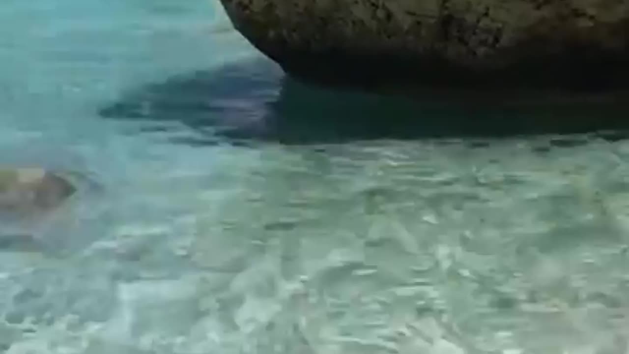 Just having fun right