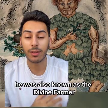 Astragalus - The Yellow Leader