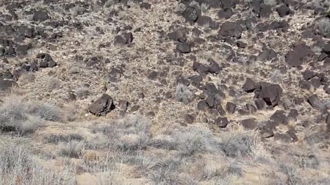 Rinconada Canyon, the Petroglyphs are coming up. 1/19/23 Albuquer,NM