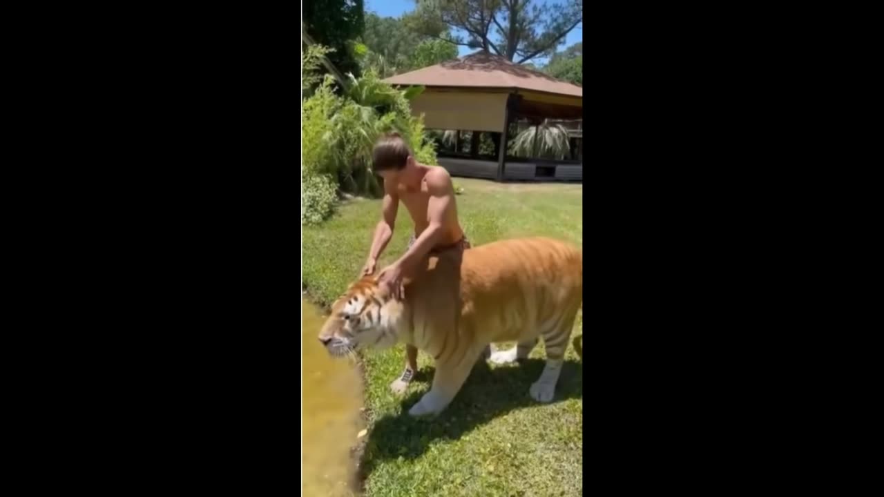 (2023) funniest animals ever Relax with cute animals video