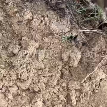 Traps left from Vsuk ukraine army