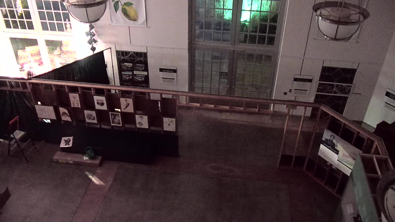 4011BGCO01EastHall_2021-01-05_21h00min02s237ms.mp4