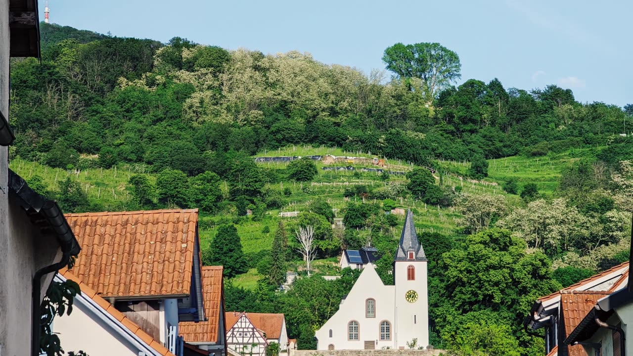 750 Jahre Stadtrechte Zwingenberg 🇩🇪 (2024-05)