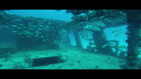 Watch the discovery of the shipwreck on the seabed by divers, part 3