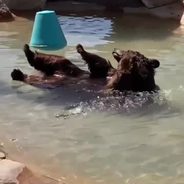 Guys do you mind? Some privacy please 😂