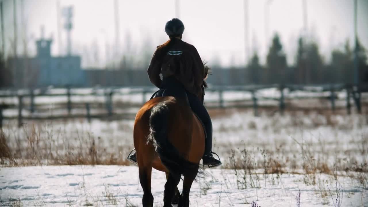 Horse riding - young woman horsewoman is galloping on her horse