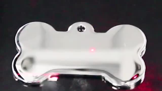 Customize your dog with its own symbo