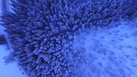 Relaxing Music | Sleeping, Meditation, Stress Relief | [6864] ⭐️