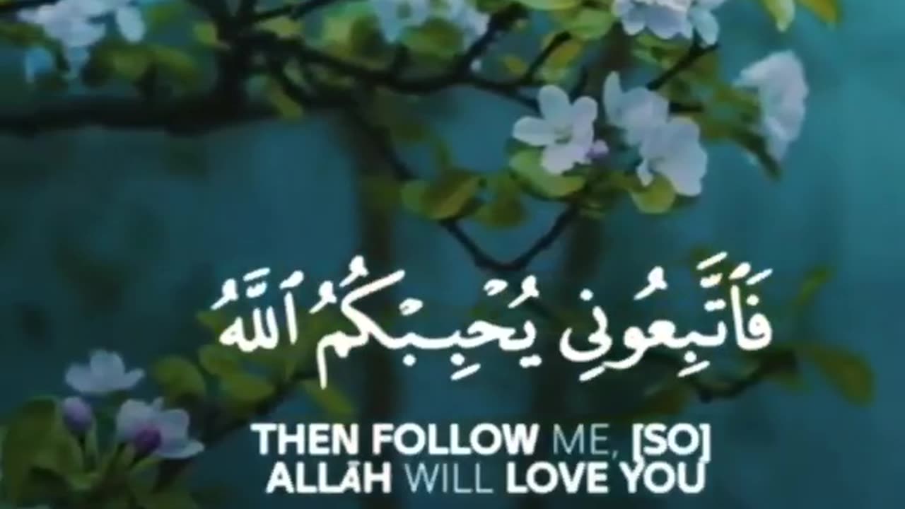 بلغوا عني ولو آية