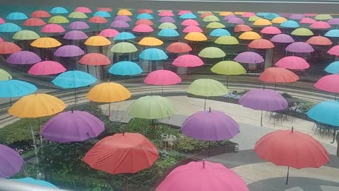 many umbrella decorations