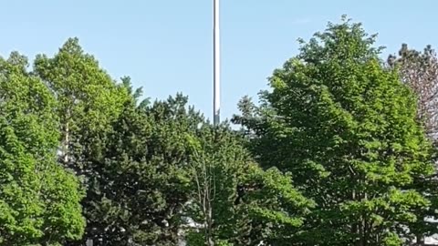 American flag in a very gentle breeze