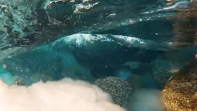 🌊 Natural sounds of a fast moving Alpine River 😍