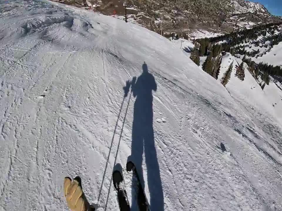 Wildcat (Kitty) Alta Utah. Top to Bottom